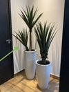 Yucca artificial 1,30 metros - comprar online