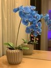 Arranjo orquídea azul - 90cm