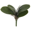 Folha de Orquídea (verde) 22cm