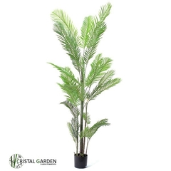 Palmeira Areca Permanente 2,40 metros - comprar online