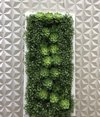 Quadro verde com plantas artificiais - 0,80x0,40cm - comprar online