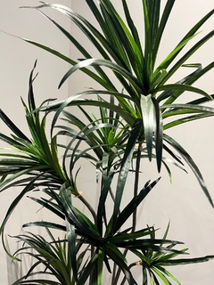 Dracena Permanente 1,50 metros (Verde) - loja online