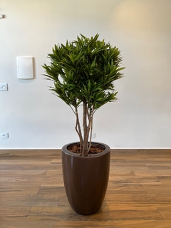 Dracena artificial 1,20 metros - loja online