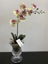 Orquídea artificial em vaso de vidro 40cm