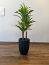 dracena artificial x3 hastes - 1,20 metros