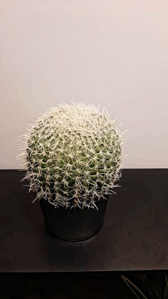 Cactus Bola Artificial - 30cm - loja online