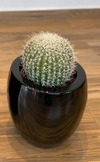 Cactus Bola Artificial - 30cm