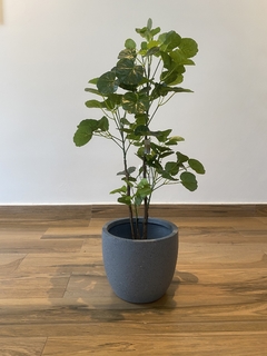 Aralia Artificial Plantada - 90cm