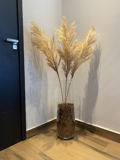 Capim dos Pampas Permanente 110cm - Cristal Garden