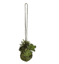 Kokedama de suculenta X3 (VERDE) 15CM