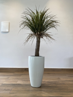 Yucca artificial 1,20 metros