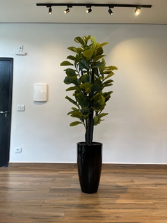 ficus Lyrata artificial 1,85 metros - comprar online