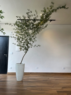 Bambu mosso artificial 2,90 metros curvado para direita - Cristal Garden