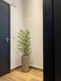 Bambu reto artificial com 3 hastes 1,00 metro completo com vaso na internet
