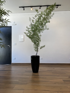 Bambu mosso artificial 2,10 metros curvado para Direita - comprar online