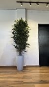 ficus verde artificial 1,80 metros