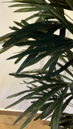 palmeira rafia permanente 1,80 metros - loja online