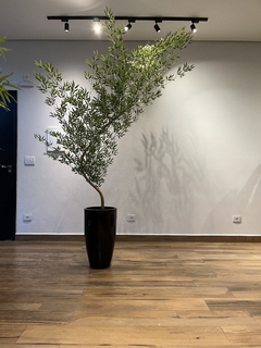 Imagem do bambu mosso artificial 2,10 metros curvado para direita