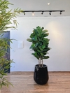 ficus lyrata artificial 2,10 metros