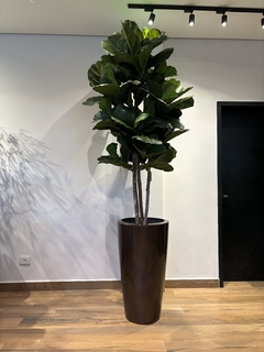 ficus lyrata artificial 2,10 metros na internet