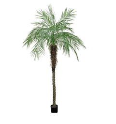 Palmeira Fenix artificial 3,04 metros - comprar online