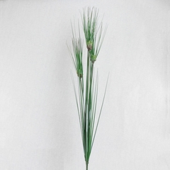 Papyrus permanente - 92cm