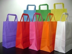 BOLSA DE CARTON X50 22X30