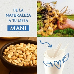 Leche Vegetal BIBA de Mani x 1L - 100% Natural - comprar online