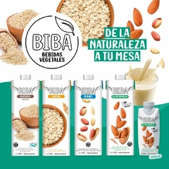 Leche Vegetal BIBA de Almendras x 1L - 100% Natural - comprar online