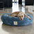 FUNDA DONUT BED CIELO - Pet House