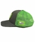 BONÉ NFR CINZA T/ VERDE FLUOR 476 - comprar online