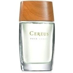 Cereus No.05 / No. 06 de Cereus Masculino - Decant