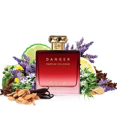 Danger Pour Homme Parfum Cologne Roja Dove - Decant na internet