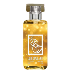Lux Opulent Inspired by Xerjoff Richwood - Decant - comprar online