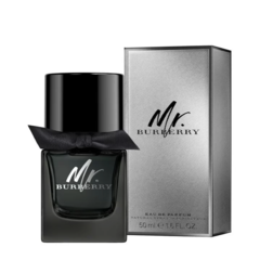 Mr. Burberry Eau de Parfum Burberry Masculino - Decant - comprar online