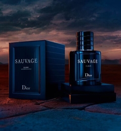 Sauvage Elixir Dior Masculino - Decant - comprar online