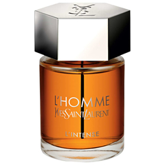 L'Homme L'Intense de Yves Saint Laurent Masculino - Decant