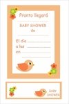 Invitaciones con souvenir - Baby Shower