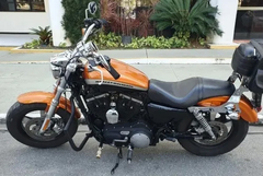 Mata cachorro/Protetor de Motor - Asa - PRETO - Harley Davidson - Sportster 883/1200/48 - loja online