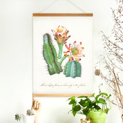 Ilustraciones Cactus