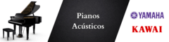 Banner de la categoría Pianos Acústicos