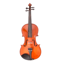 Viola Aileen LG103