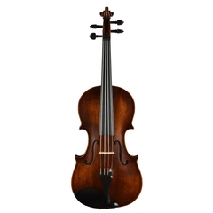 Violin Christina Italy MUSE