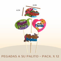 PACK. X 12 FLIPS - APLIQUES - PINES - MADRE PEQUE