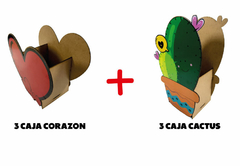 3 CAJA CACTUS + 3 CAJA CORAZON