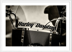(100) HARLEY DAVIDSON en internet