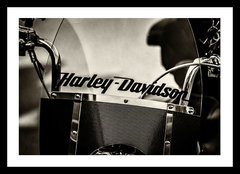 (100) HARLEY DAVIDSON