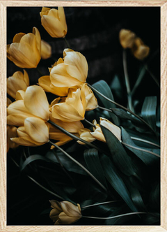 (1463) TULIPANES SEPIA - comprar online