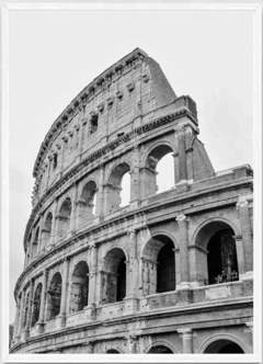 (1547) COLISEO BN - comprar online