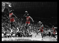 (155) SALTO BASQUET